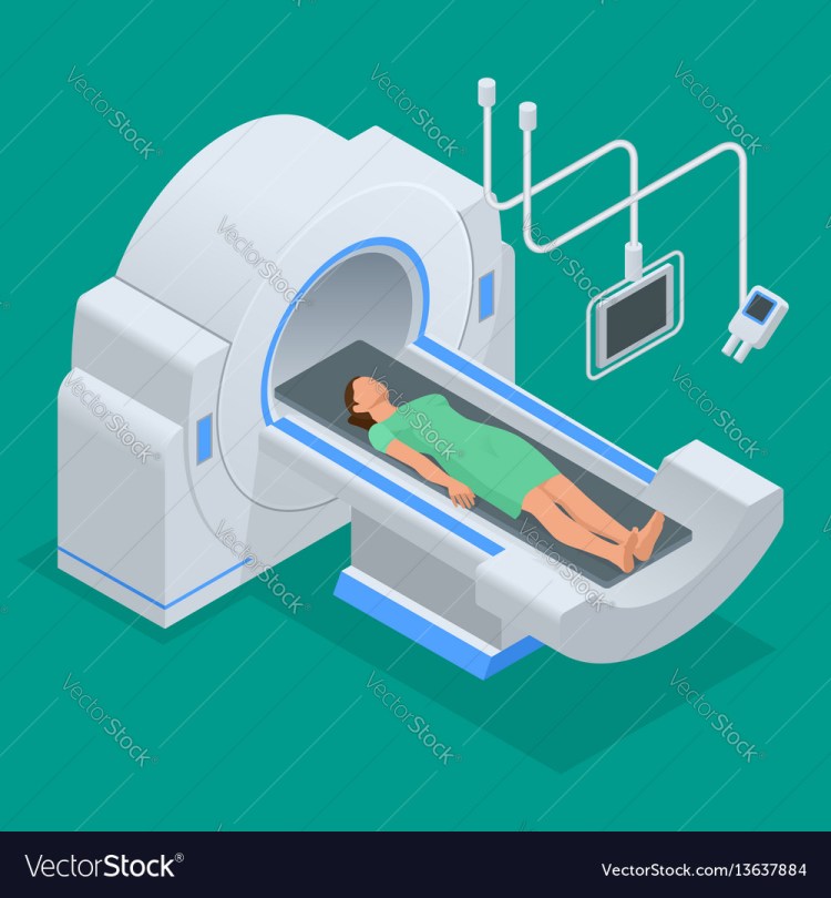 Magnetic resonance imaging mri of the body flat Vector Image