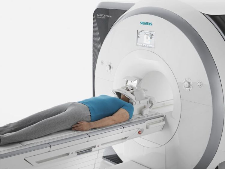 Deutsches Primatenzentrum: Magnetic Resonance Imaging