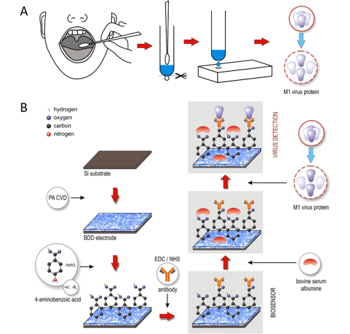 File:Biosensing of influenza virus using an antibody-modified boron-doped diamond.svg - Wikimedia Commons