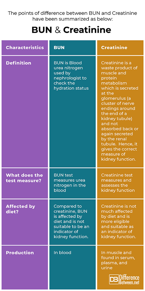 Difference Between Blood Urea Nitrogen BUN and Creatinine - Difference Between