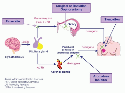 Treatment of Metastatic Breast Cancer: Endocrine - Oncohema Key
