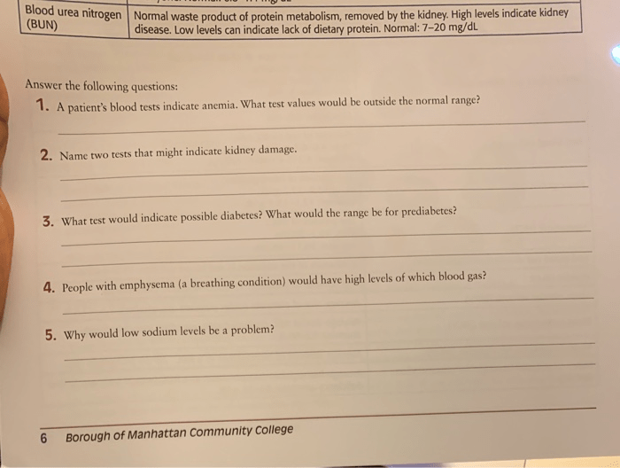 Solved Blood urea nitrogen Normal waste product of protein - Chegg.com